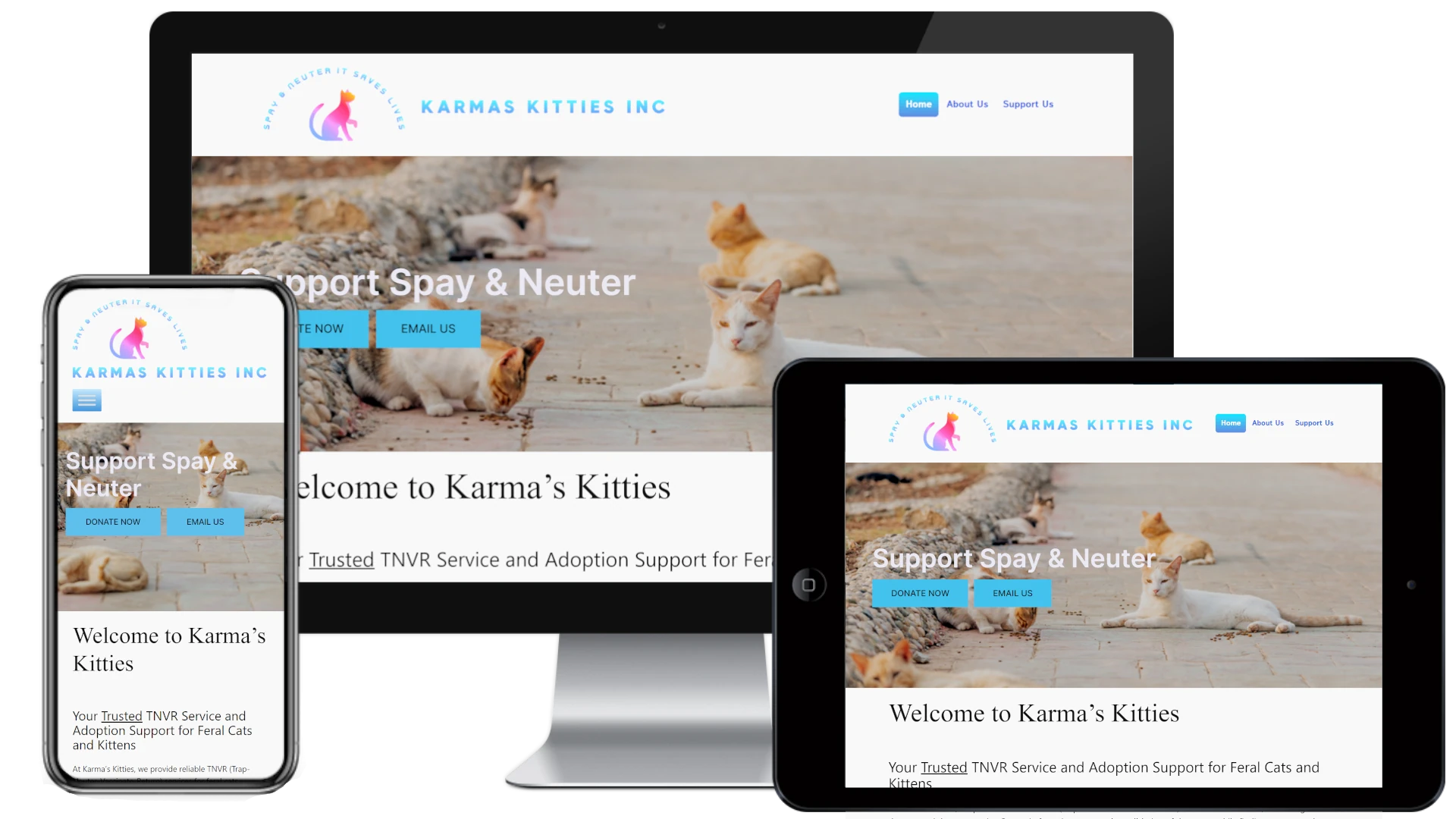 Karmas Kitties LLC | Citrus County Florida | KarmasKitties.com